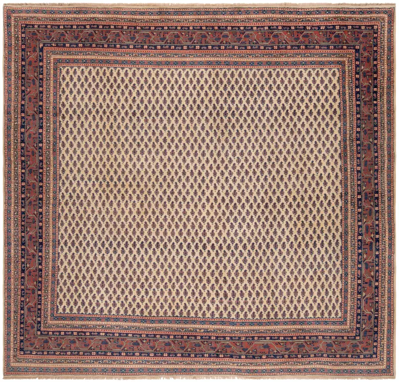 Alfombra india Sarough mir | 215 x 227 cm