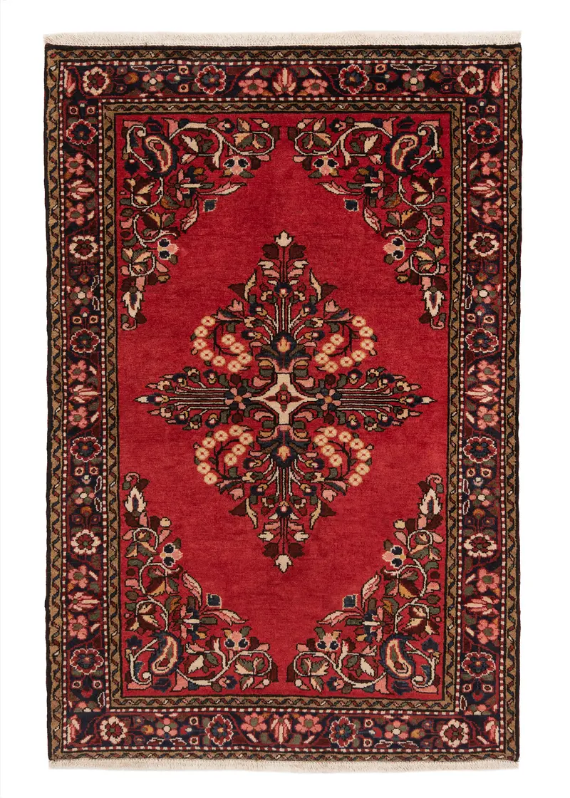 Alfombra persa Hamedan | 165 x 108 cm