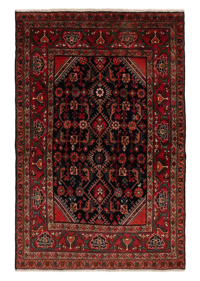 Alfombra persa Hamedan | 168 x 110 cm