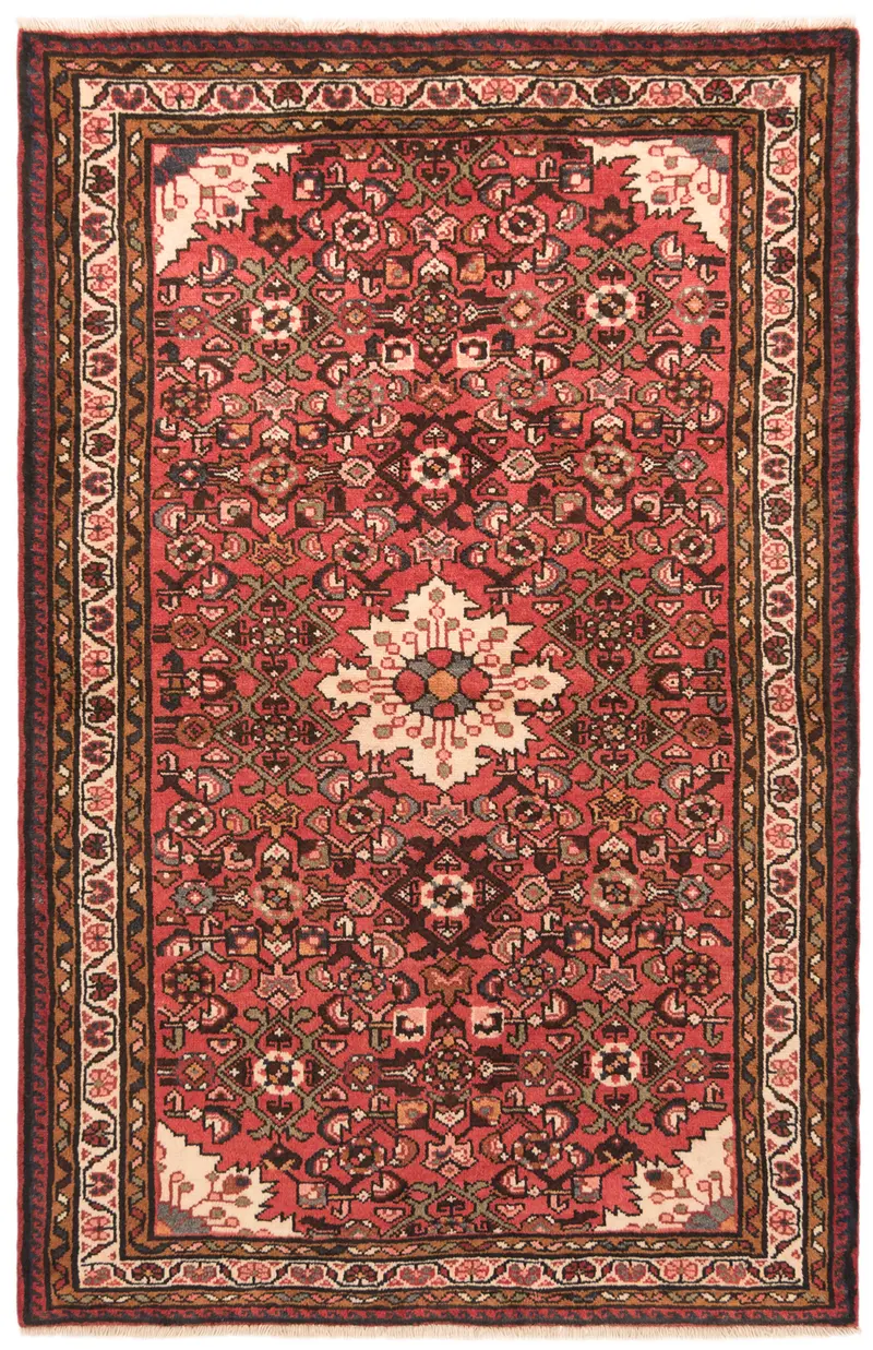 Alfombra persa Hamedan | 171 x 111 cm