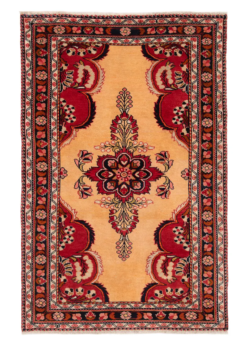 Alfombra persa Lilian | 153 x 100 cm