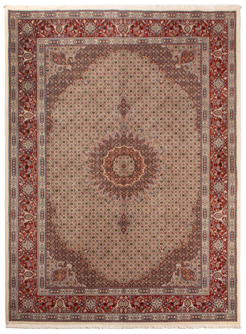 Alfombra Persa Moud | 289 x 200 cm