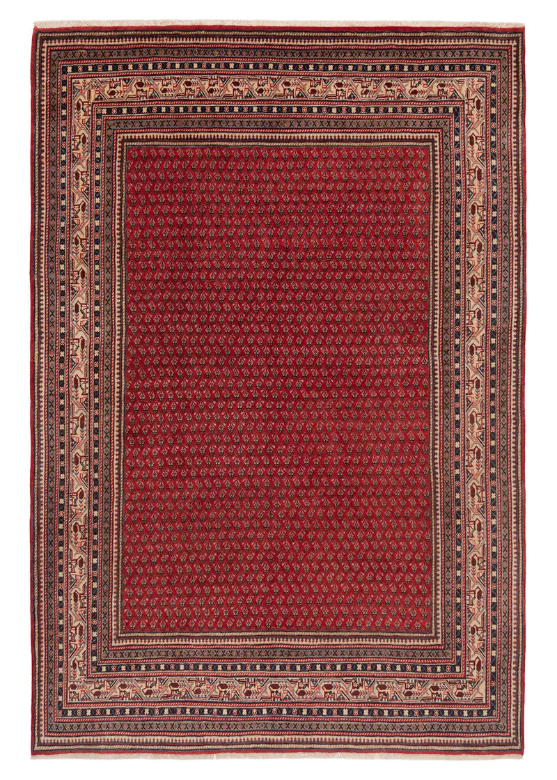 Alfombra persa Sarough mir | 305 x 210 cm