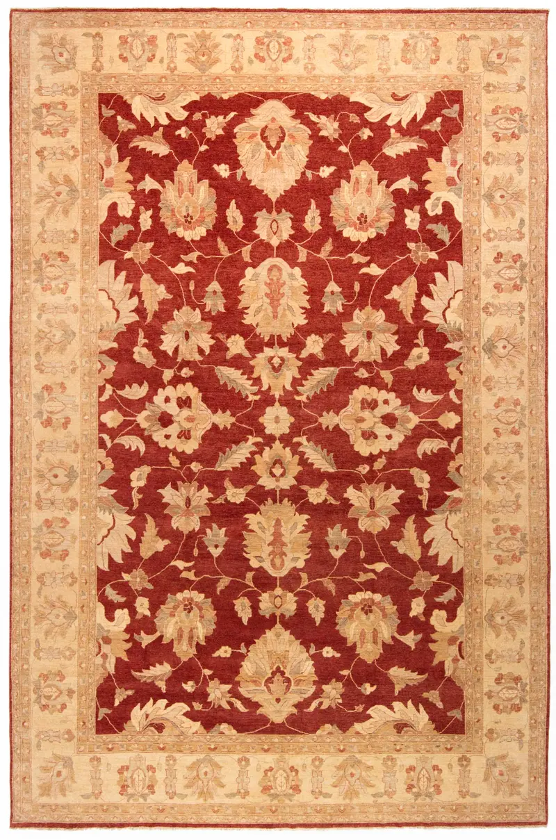 Alfombra Ziegler | 542 x 359 cm