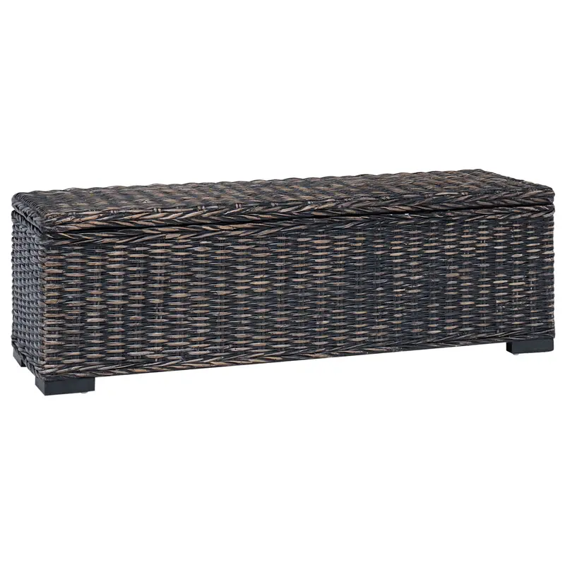 Caja de Almacenamiento Negro 110 x 35 x 45 cm