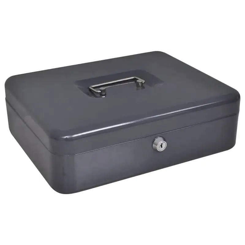 Caja de dinero con cerradura Gris oscuro 30 x 24 x 9 cm Acero