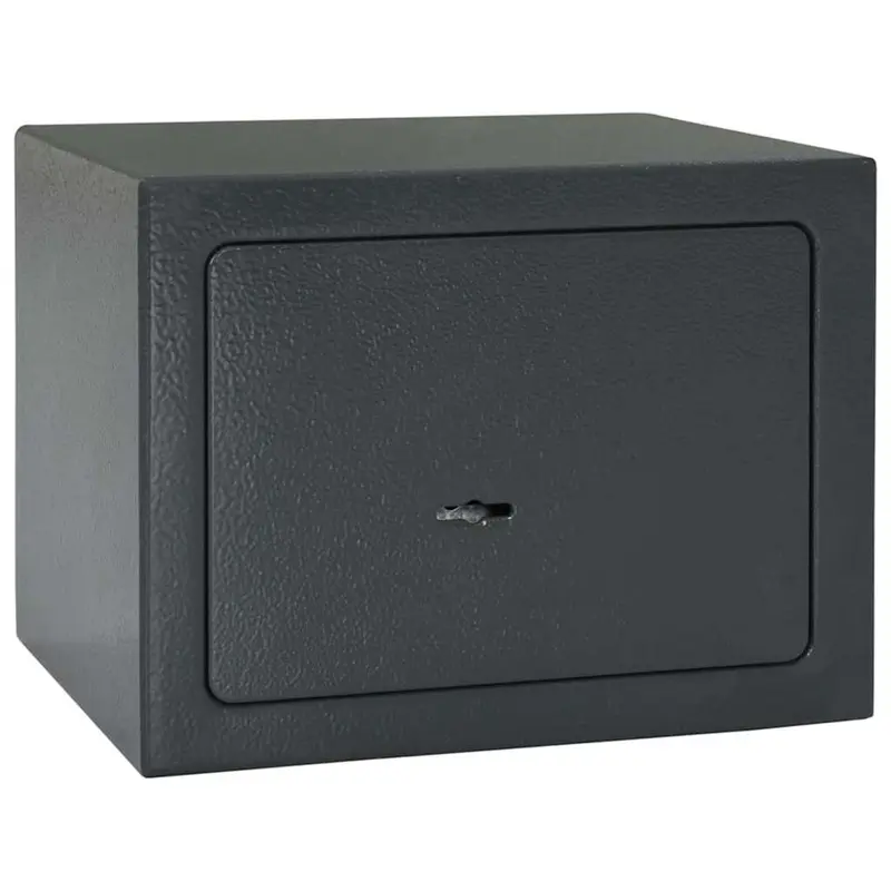 Caja Fuerte con cerradura Gris oscuro 23 x 17 x 17 cm Acero