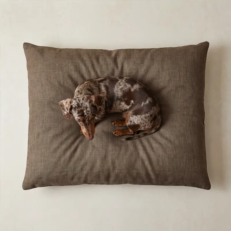Cama para mascotas desenfundable antimanchas Mocha Marron