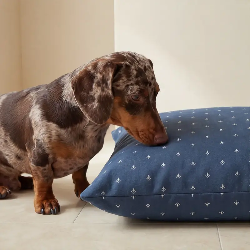 Cama para mascotas desenfundable antimanchas Monina Denim 8