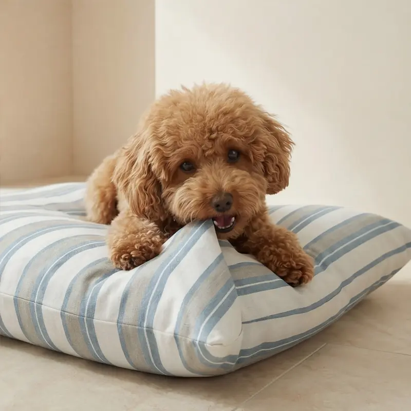 Cama para mascotas desenfundable antimanchas Orelis Soft