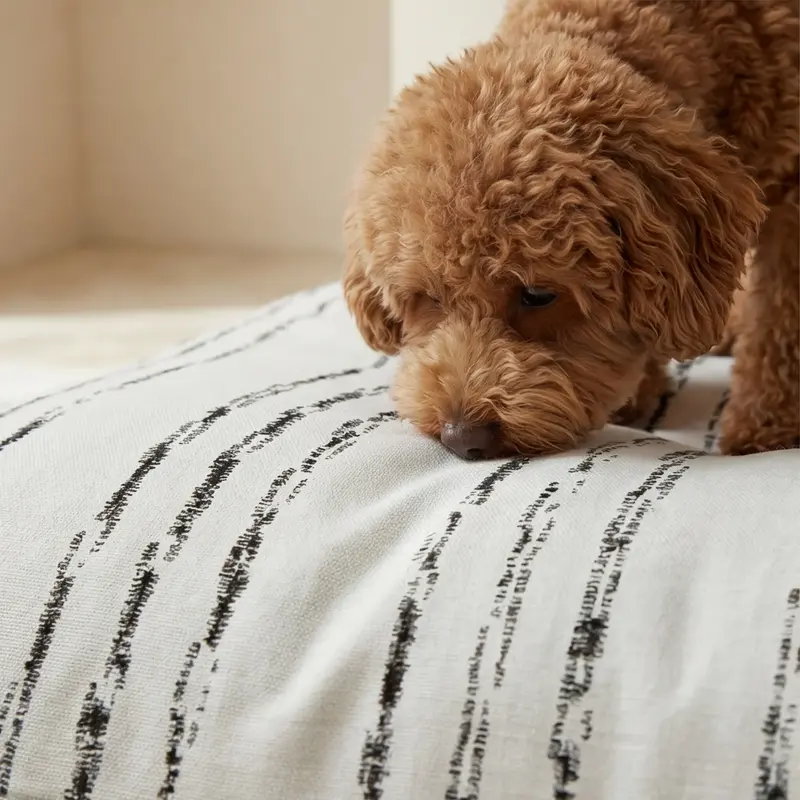 Cama para mascotas desenfundable antimanchas Rufus