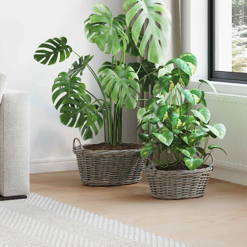 Cesta para Plantas con almacenamiento 2 pcs Gris Ratan Lacak