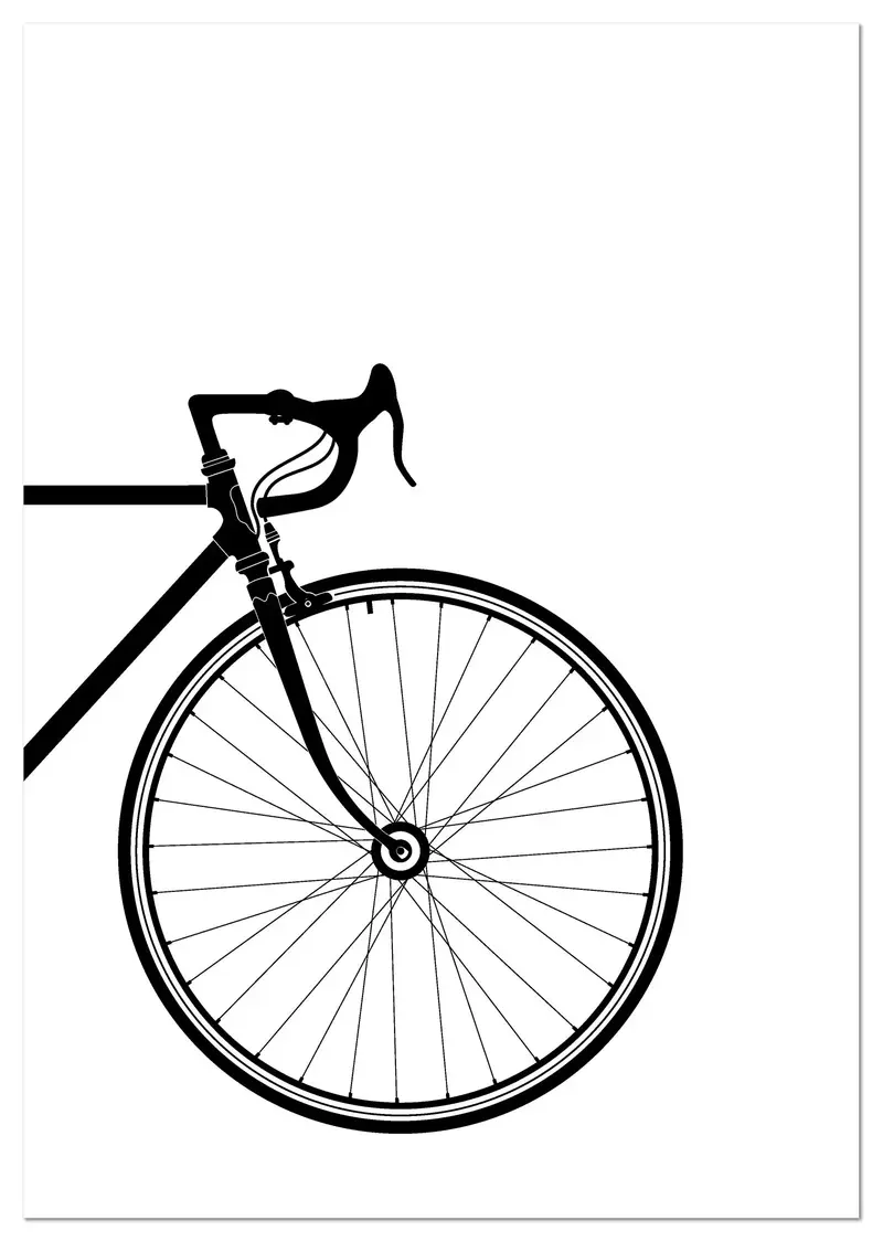 Cuadro Bicicleta Parte Delantera