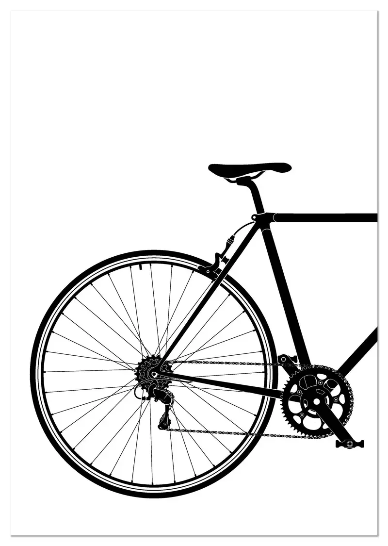 Cuadro Bicicleta Parte Trasera