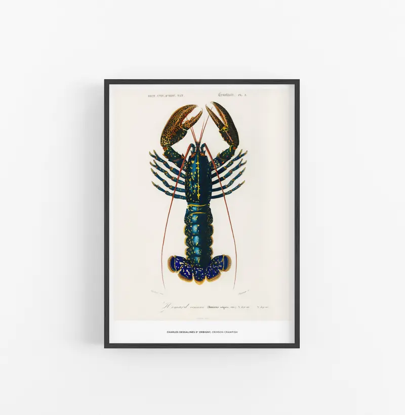 Cuadro Charles Dessalines D Orbigny Crismon Crawfish