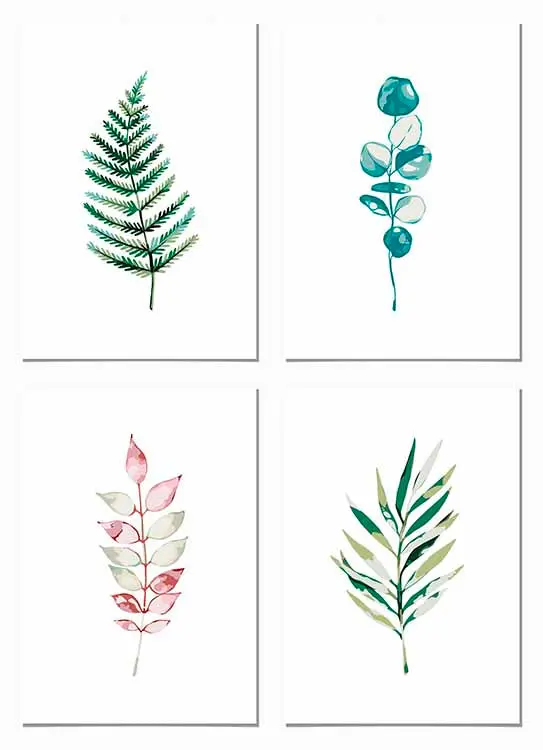 Cuadro Pack Plantas Botánica