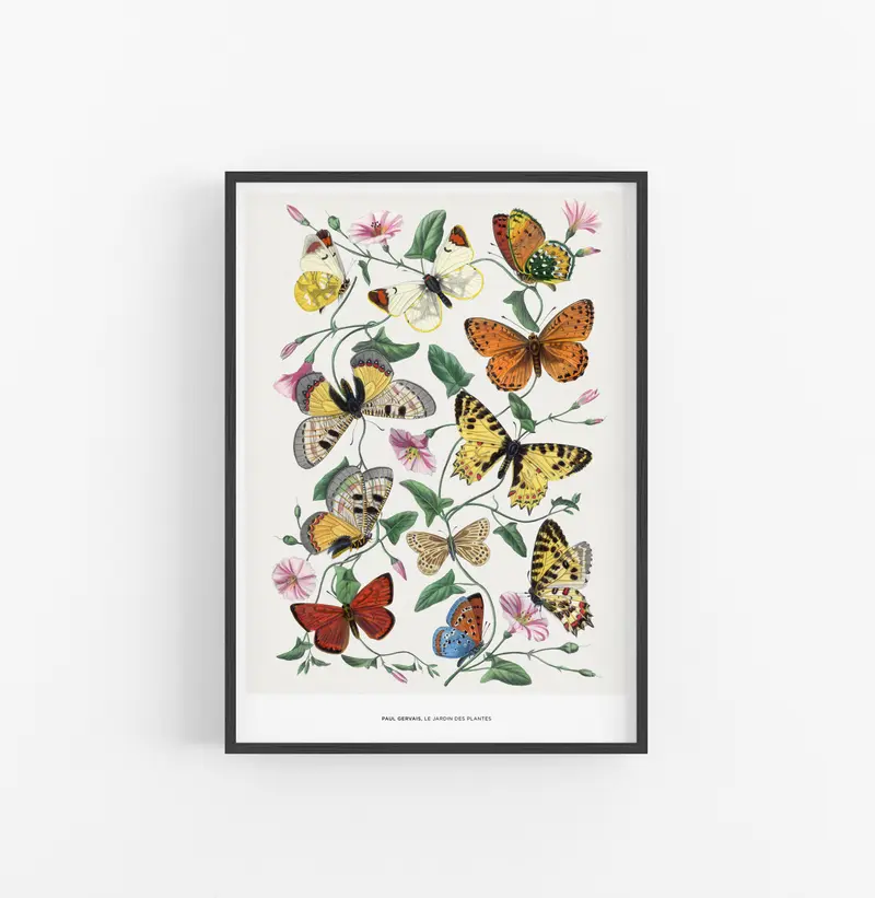 Cuadro Paul Gervais Le Jardin Des Plantes