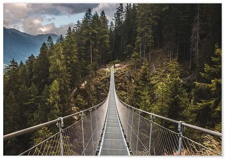 Cuadro Puente de Madera Colgante