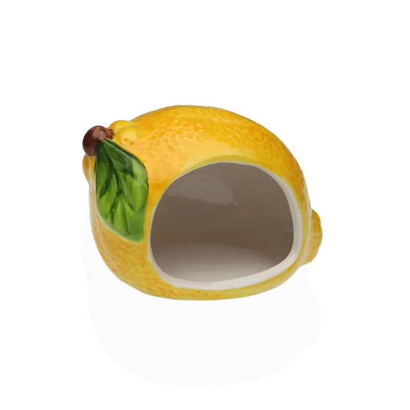 ESTROPAJERO LIMON
