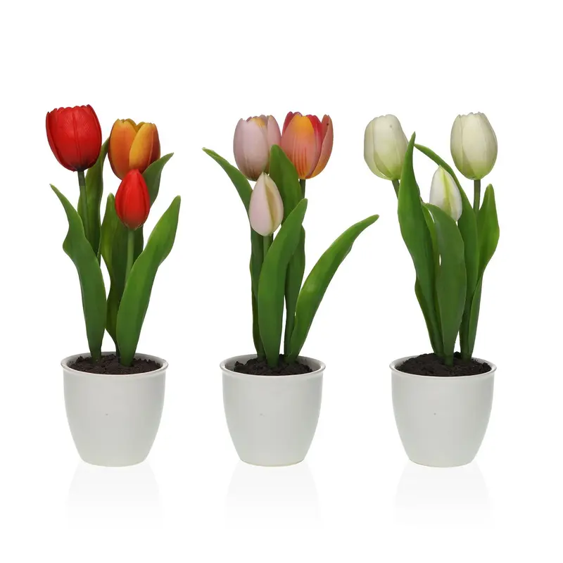 FLOR TULIPAN SURTIDA CON MACETA