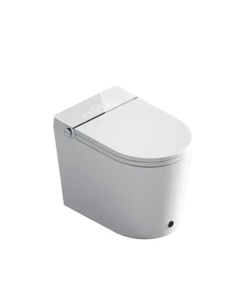 FOSSIL NATURA Aquila Inodoro inteligente de cerámica con acabado color blanco brillante y panel blanco 03845