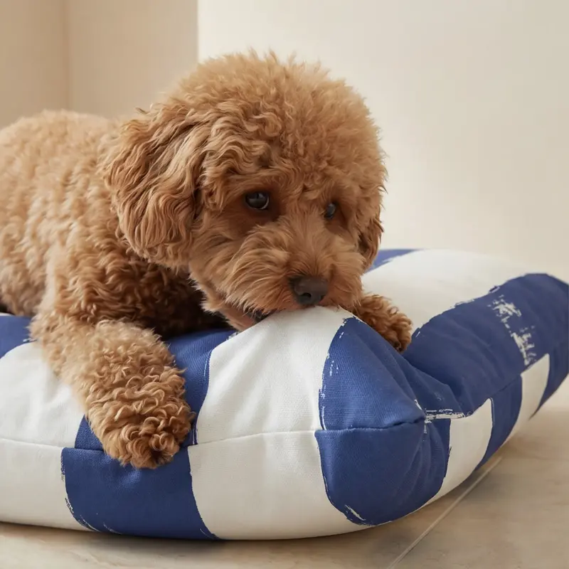 Funda para cama de mascota antimanchas Cambrils