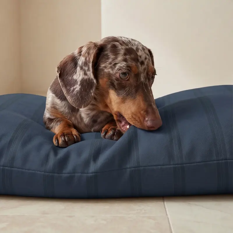 Funda para cama de mascota antimanchas Nua