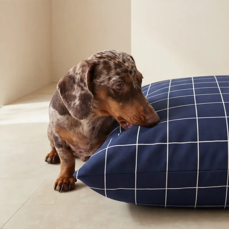 Funda para cama de mascota antimanchas Pumba Marino