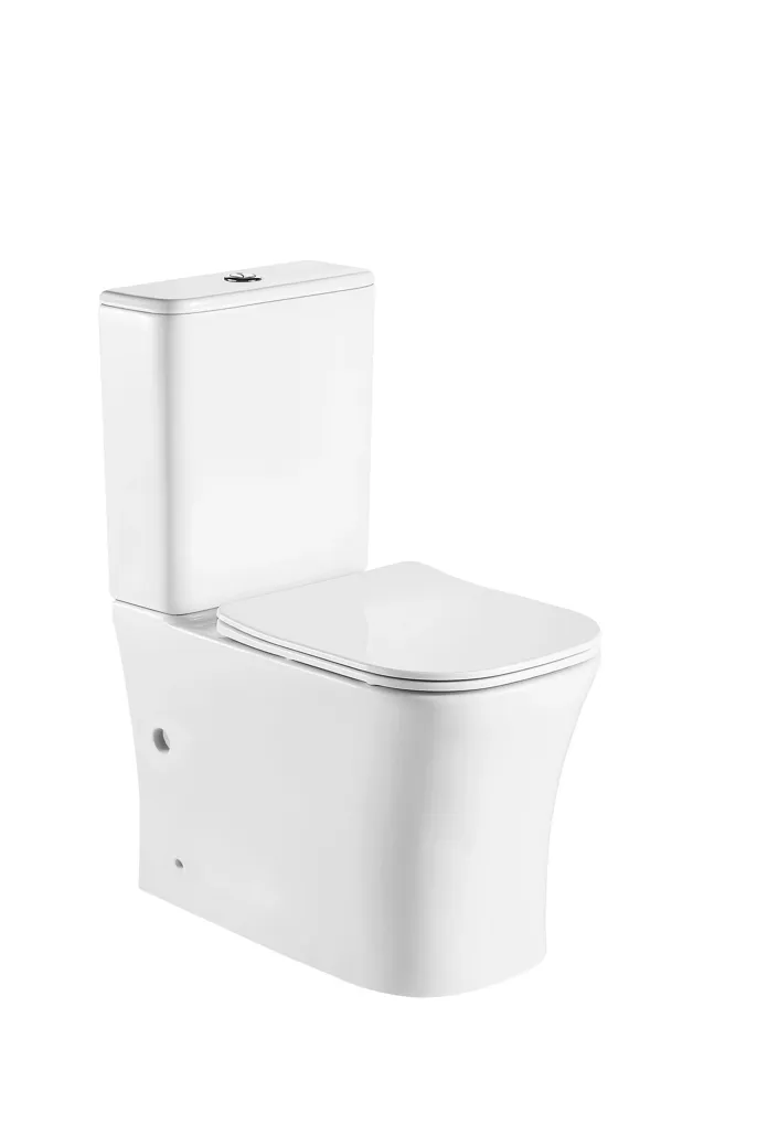 Inodoro completo Rimless a pared con salida dual y tapa amortiguada Nikko de Aquore