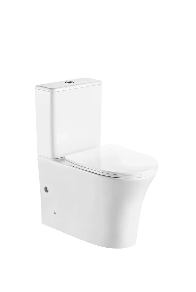 Inodoro completo Rimless a pared con salida dual y tapa Soft Close Paris de Aquore