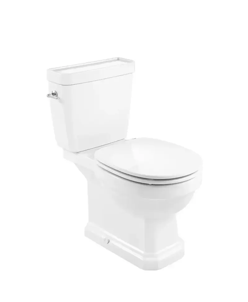 Inodoro completo salida horizontal con tecnología Rimless de 67 cm fabricado en porcelana de color blanco Carmen Roca