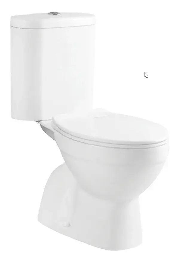 Inodoro completo vertical adosado pared con cisterna y tapa softclose New Bolonia de Aquore