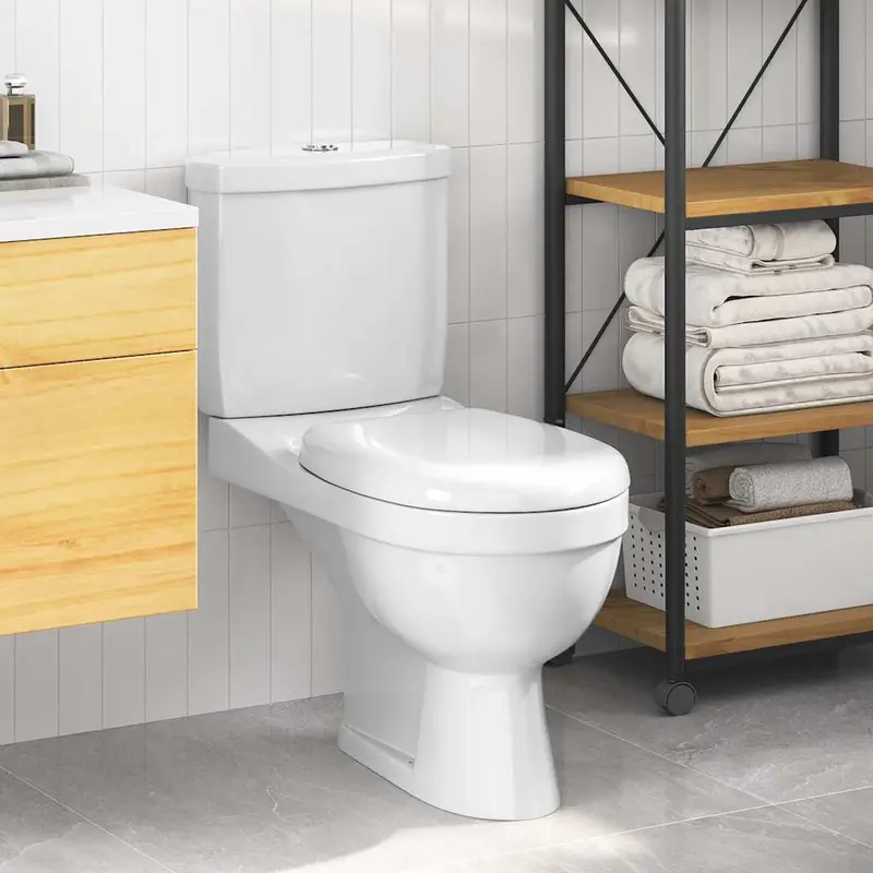Inodoro WC con cisterna blanco