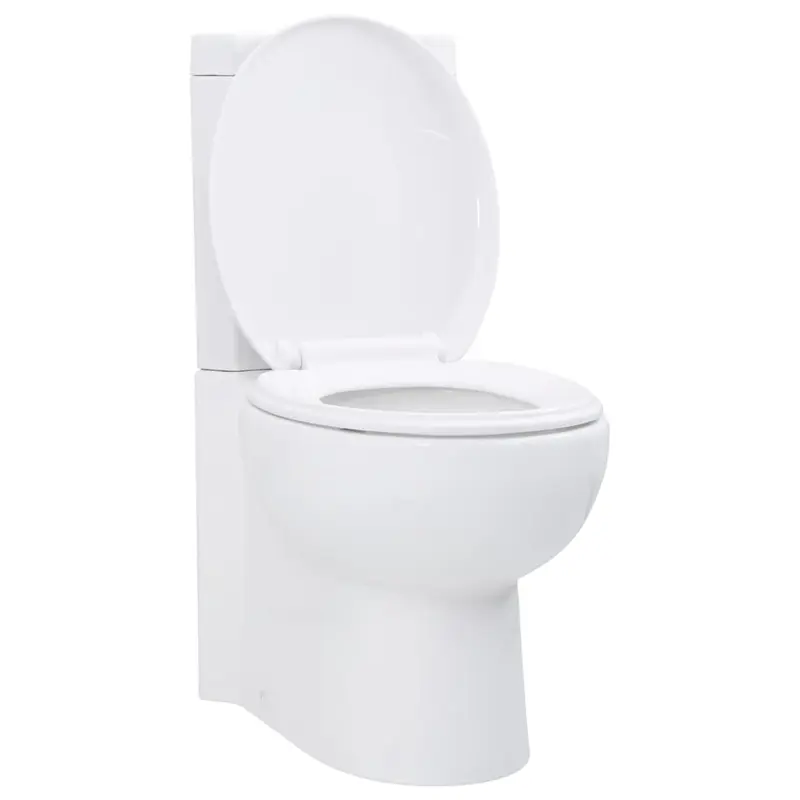 Inodoro WC de esquina cerámica blanco