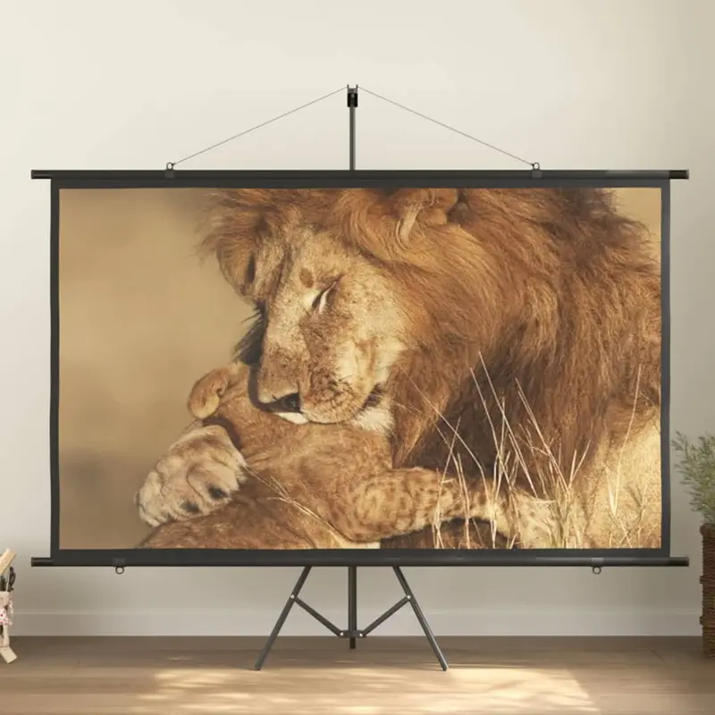 Pantalla de proyección 100" 16