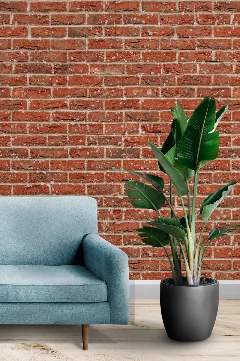 Papel pintado Painted Brick