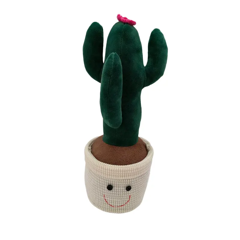 SUJETA PUERTAS CACTUS FLOR