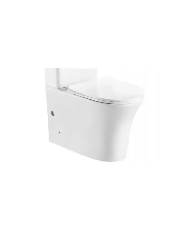 Taza de inodoro adosado a pared compacto porcelana sanitaria blanco brillo rimless salida dual Paris Aquore