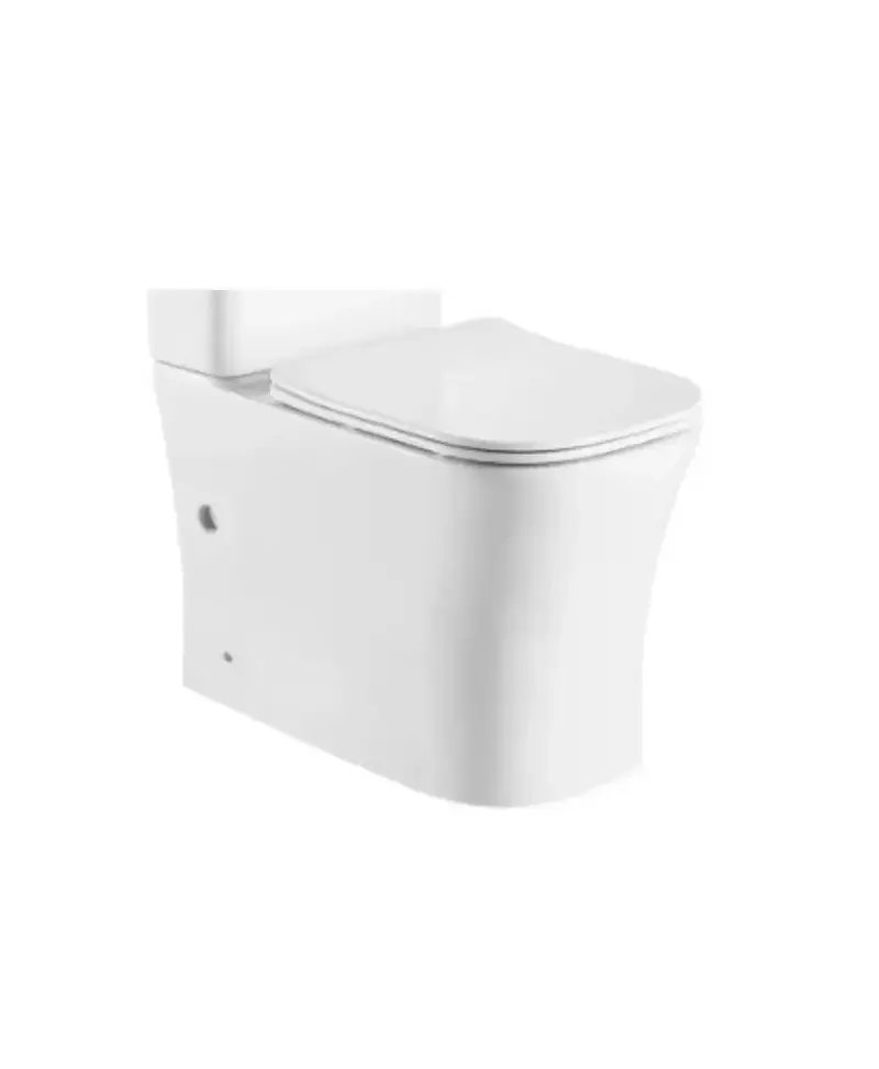 Taza de inodoro adosado a pared de porcelana sanitaria y acabado blanco con salida dual NIKKO de Aquore