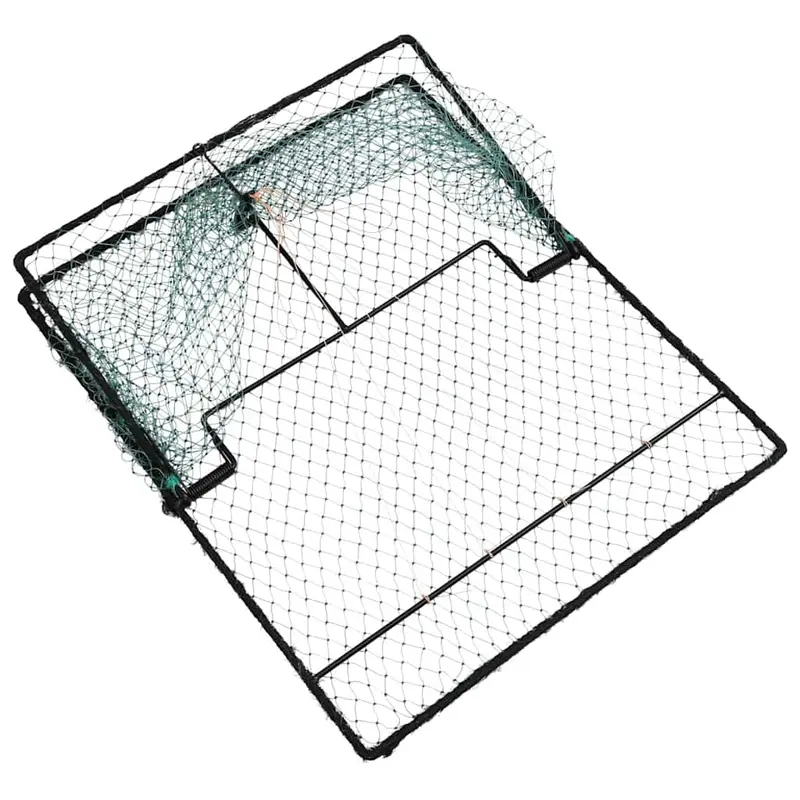 Trampa para pájaros Verde 50 x 60 x 1,9 cm Polietileno