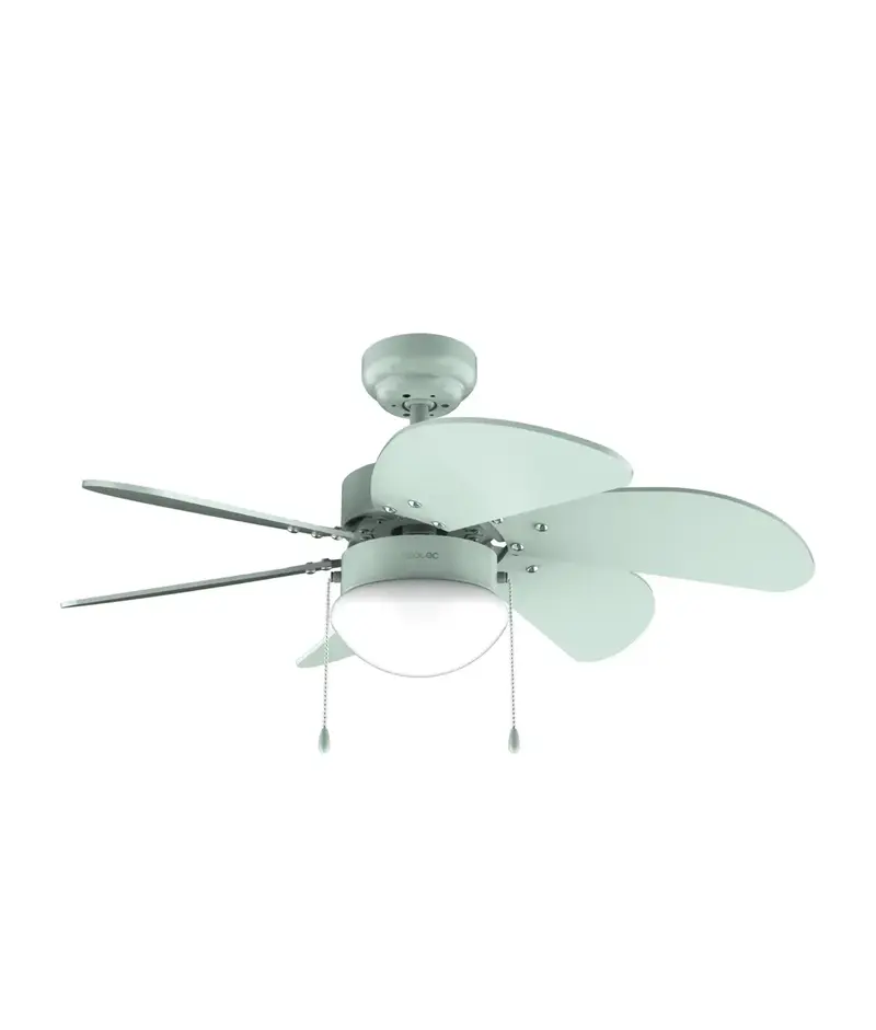 Ventilador de Techo 50W con Lámpara, 6 Aspas y Modo Invierno-Verano de Cecotec